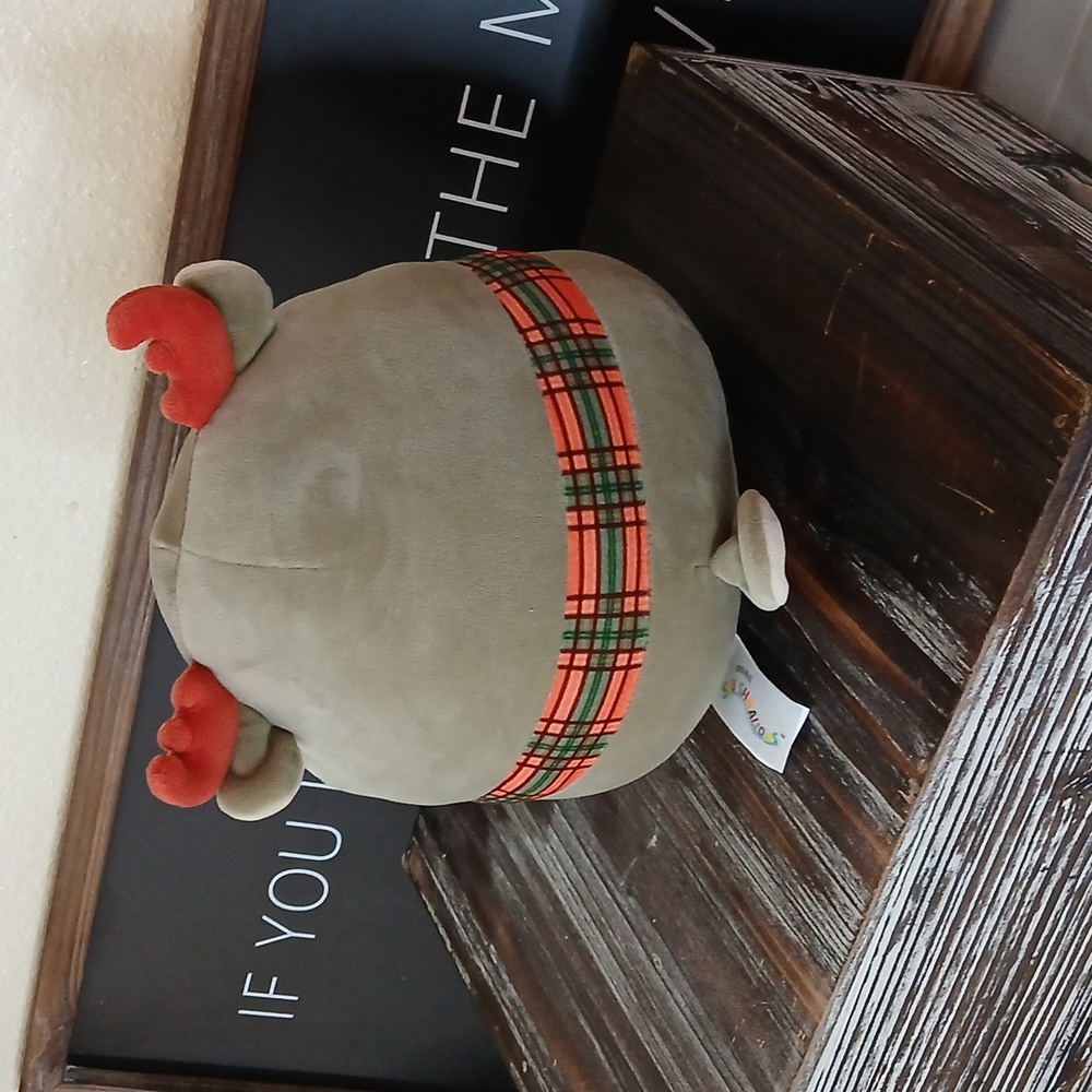 Patterson the Moose squishmallow - Picture 3 of 4